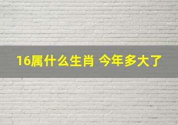 16属什么生肖 今年多大了